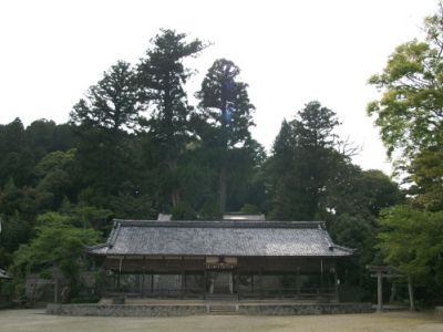 yabuta-shigaraki